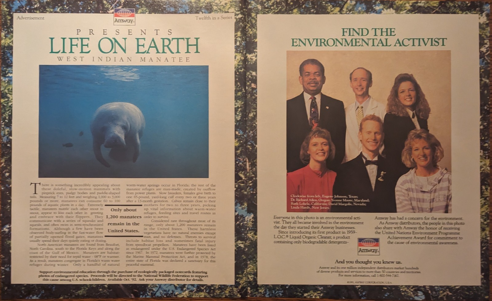 Amway Life on Earth 2 Page Vintage 1992 LIFE Magazine Conservation Print Ad