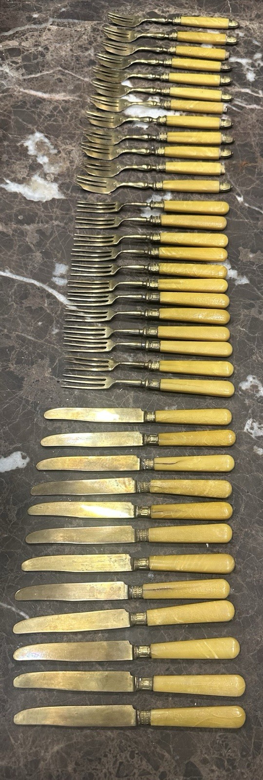 Vintage Late 19th to Early 20th Century Antique Celluloid Handle Service For 12