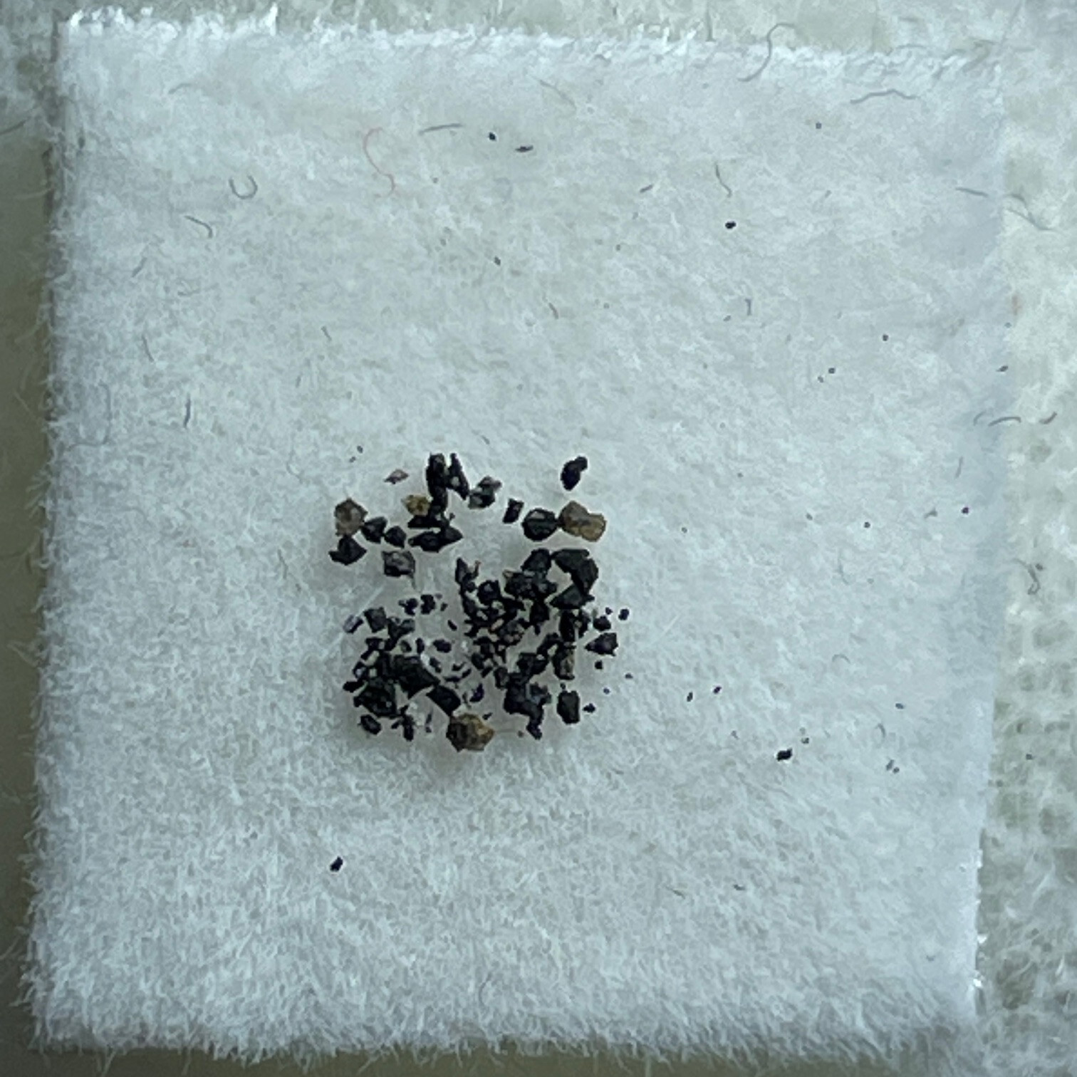 ORGUEIL METEORITE France Rare CI1 Carbonaceous Chondrite Observed French