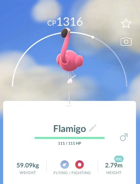 POKEMON GO | Non Shiny Flamigo XXL 2.79m  | NEW PTC | Fast & Safe
