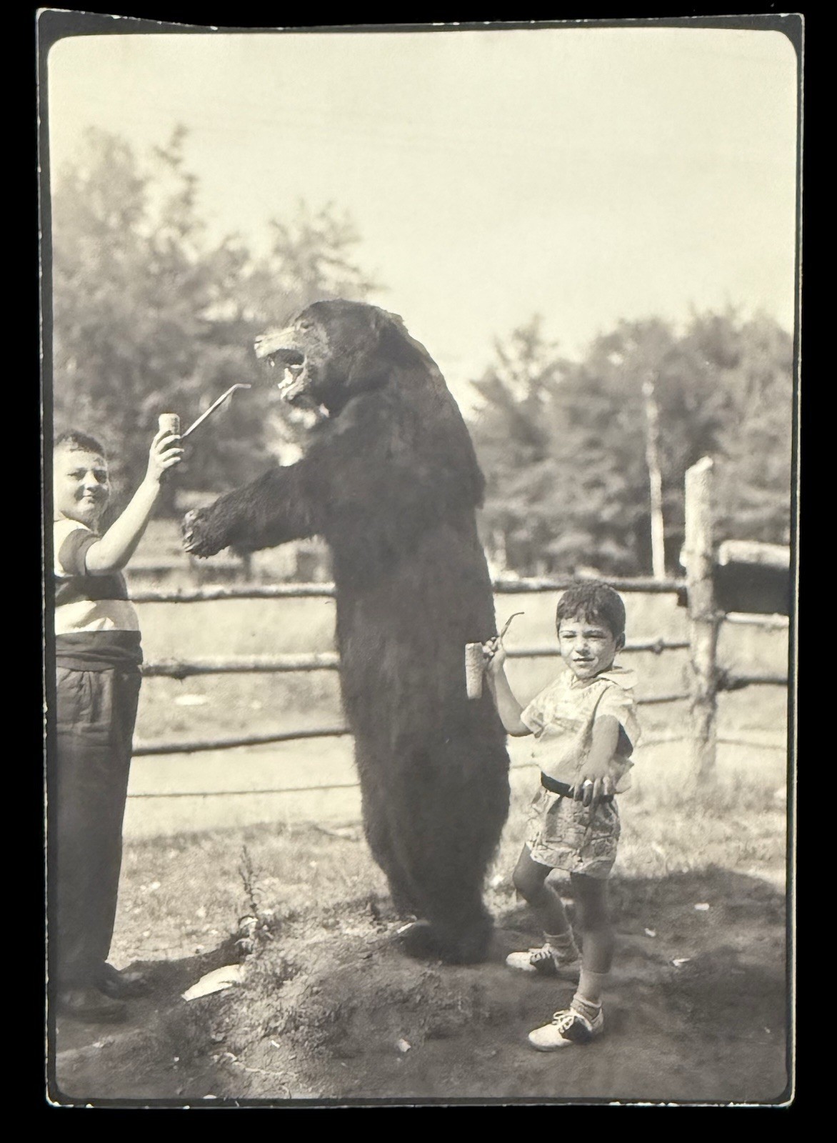 TAXIDERMY BEAR  BOYS SHARE SMOKING PIPES with SCARY STUFFED BEAR HILARIOUS PHOTO