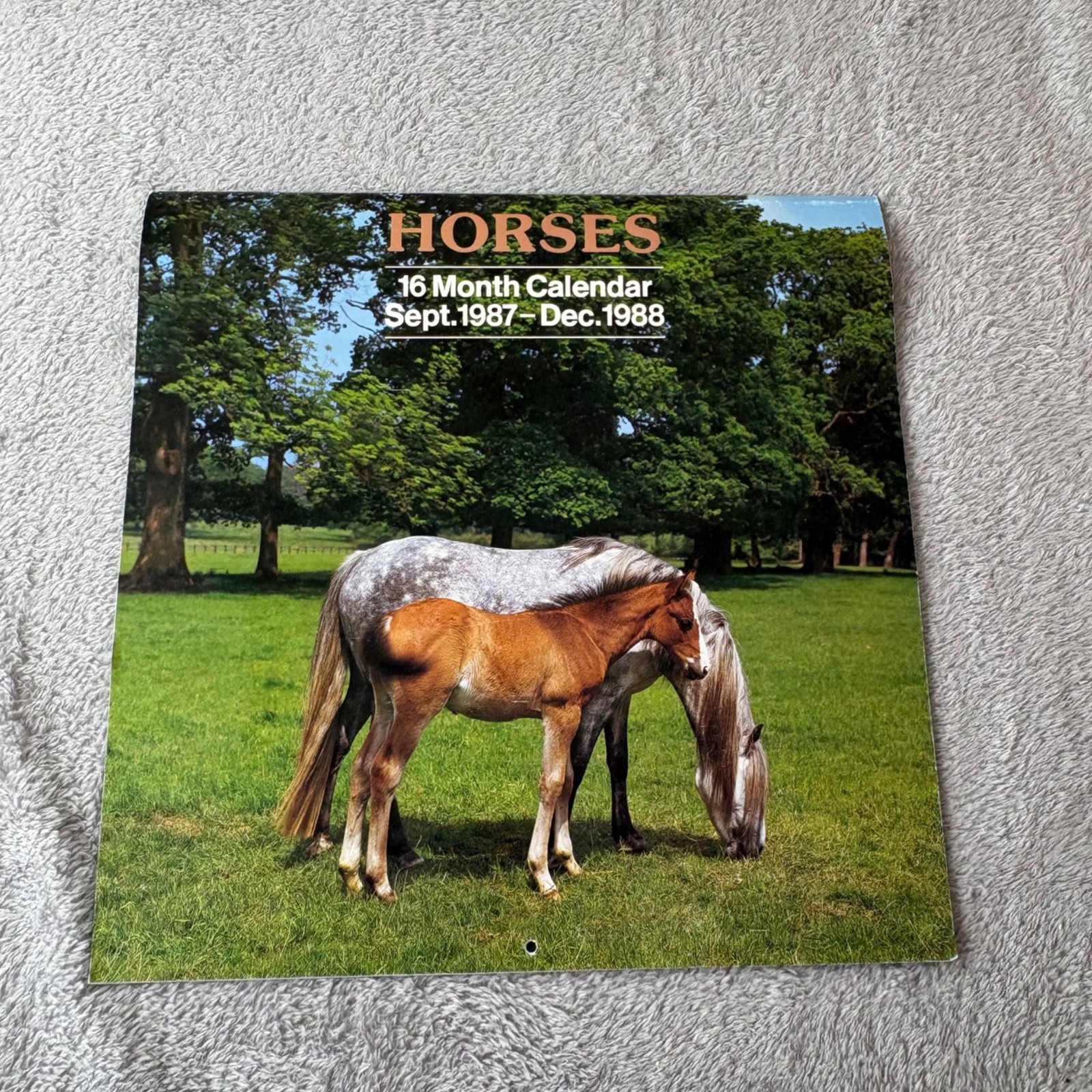 Vintage Horse Calendar Sept 1987 December 1988 Sofaco AG Publisher Welsh Cob Vintage Horse Calendar Sept 1987 December 1988 Sofaco AG Publisher Welsh Cob