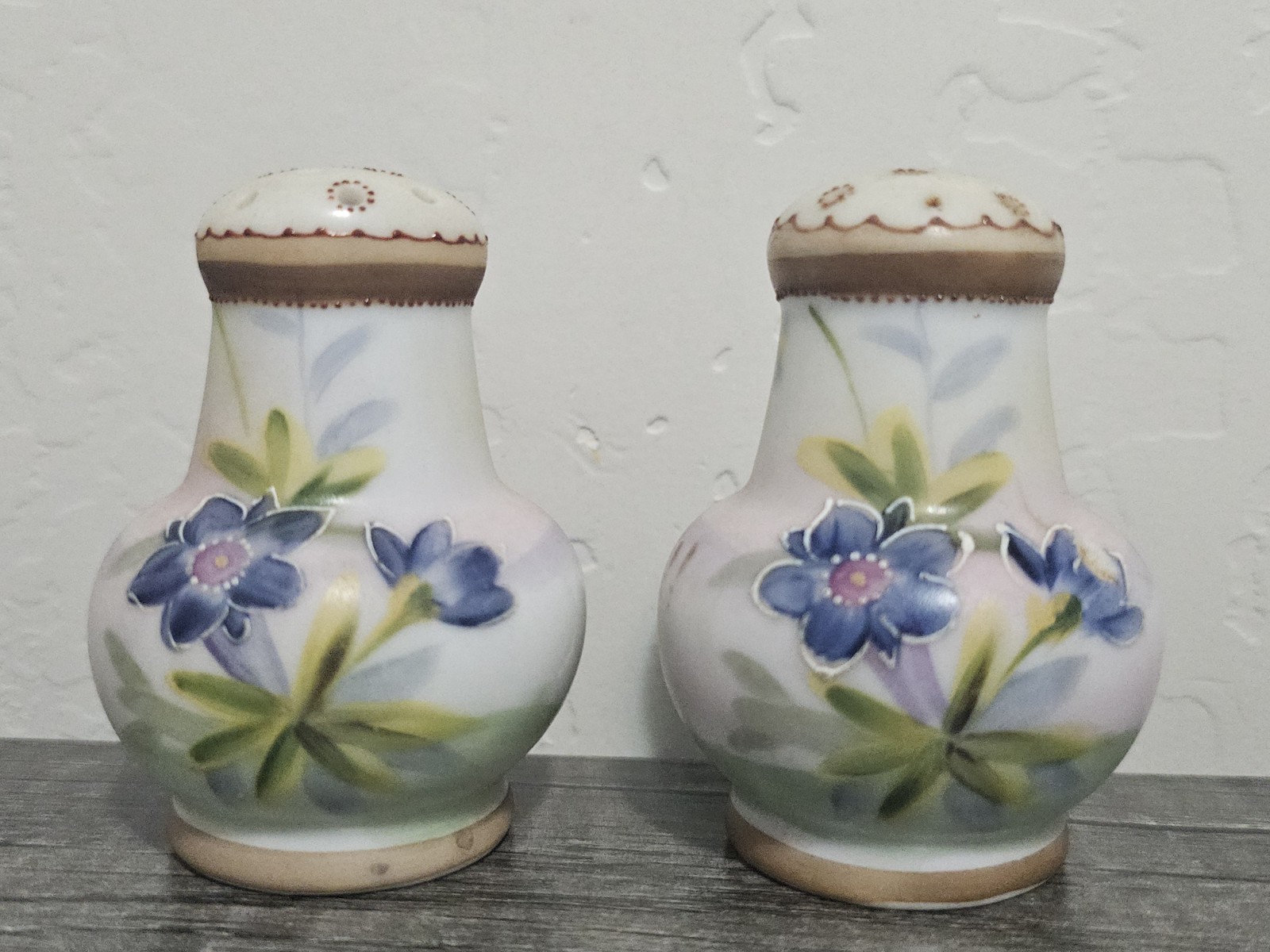 Rare VTG Nippon Handpainted Porcelain Salt And Pepper Shakers NS