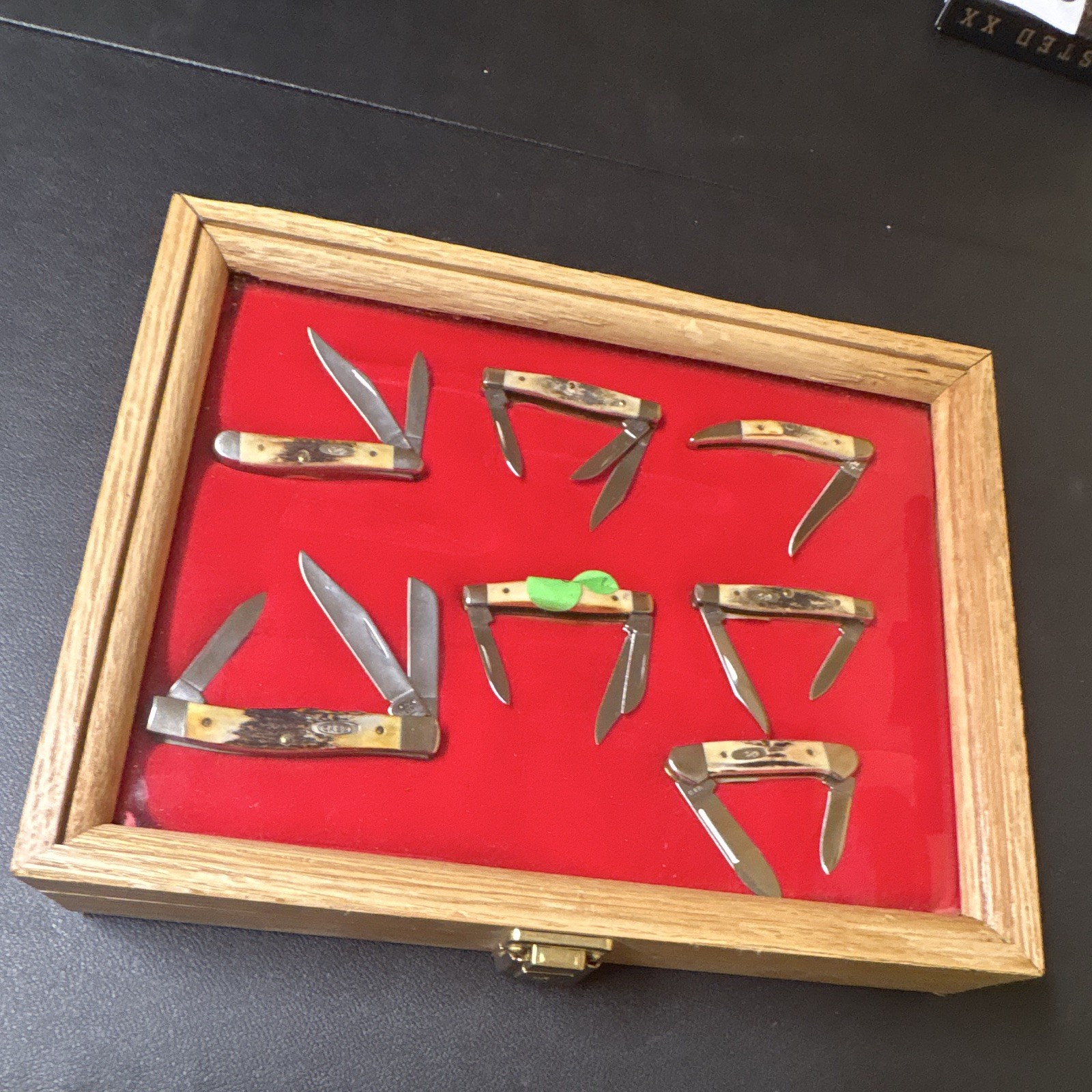 Imperial Lot of 6 Pocket Knives Display Case Bone/Stag Handles Slipjoint