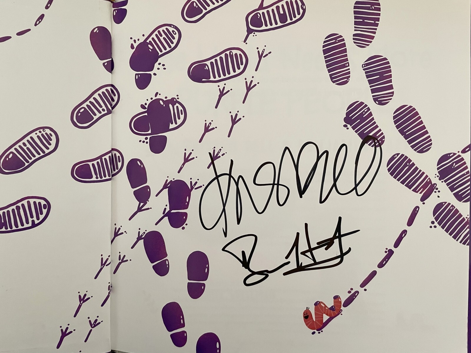 Kristen Bell signed The World Needs More Purple People hardcover children's book