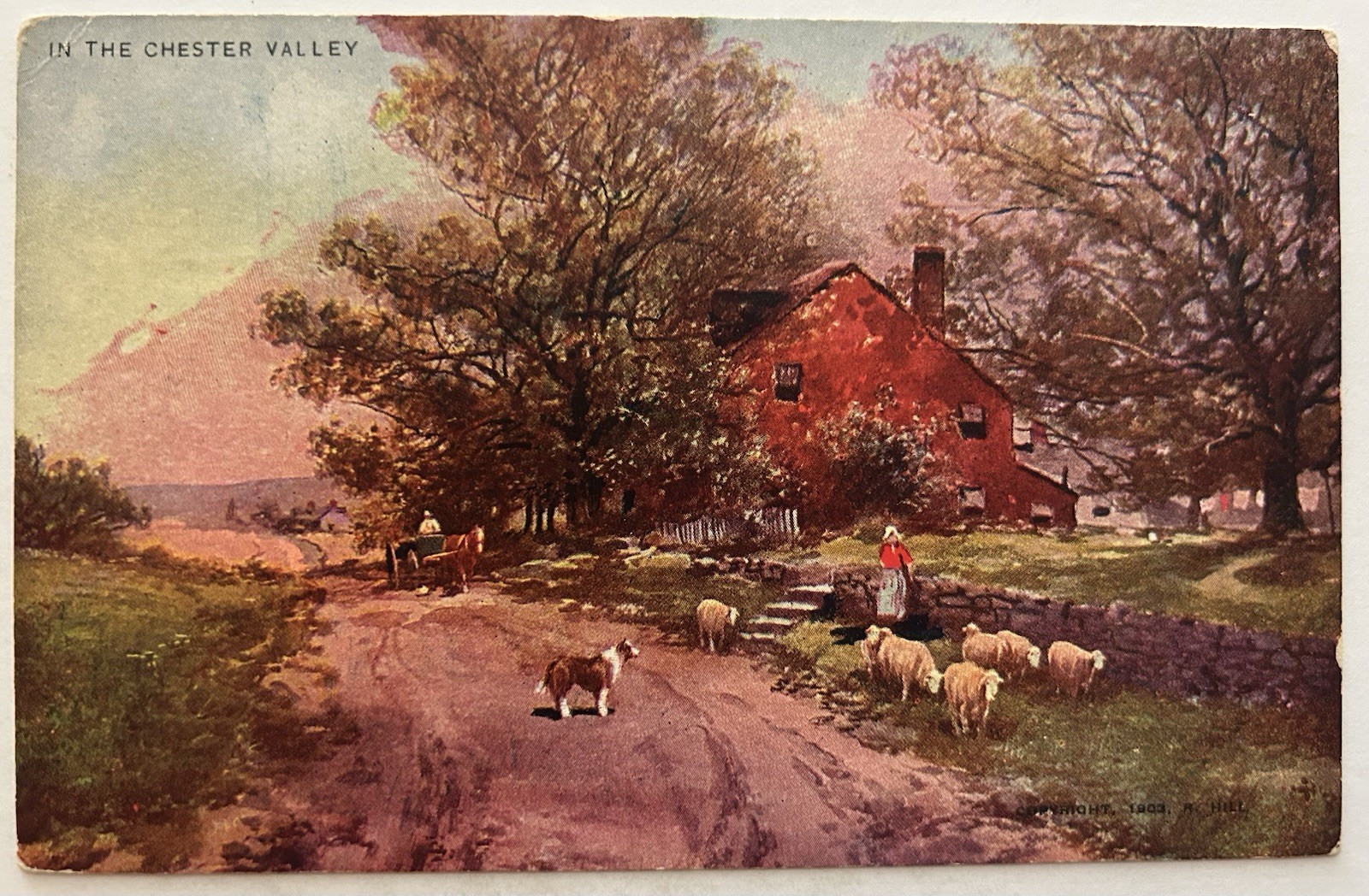 Vintage Postcard Collie Dog Herding Sheep Chester Valley PA Farmhouse