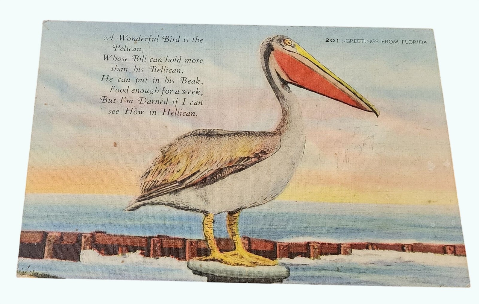 Vintage 1943 Greetings From Florida Pelican Linen Postcard With Poem & Postmark