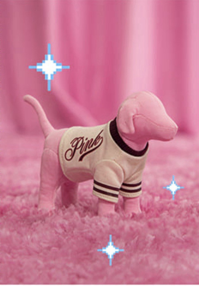 PINK BY VICTORIA\'S SECRET LOGO VARSITY SWEATER PLUSH MINIDOG SUMMER 2025 NWT