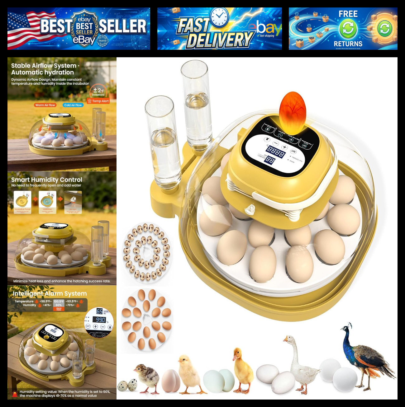18 Egg Incubator for Hatching Eggs with Automatic Turning, View for Chicken