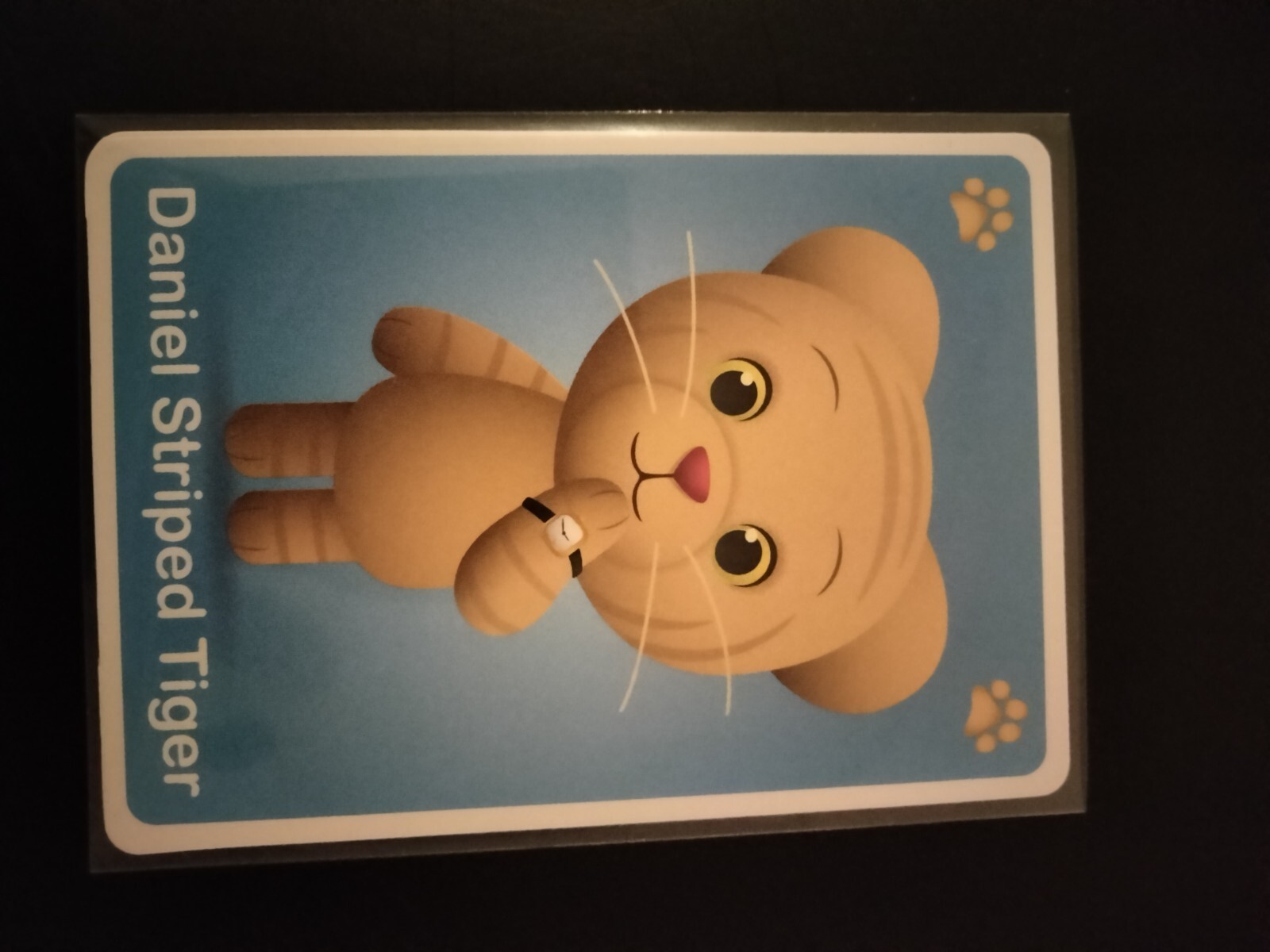 MISTER ROGERS NEIGHBORHOOD👔 game cards Buffalo (you pick) used 