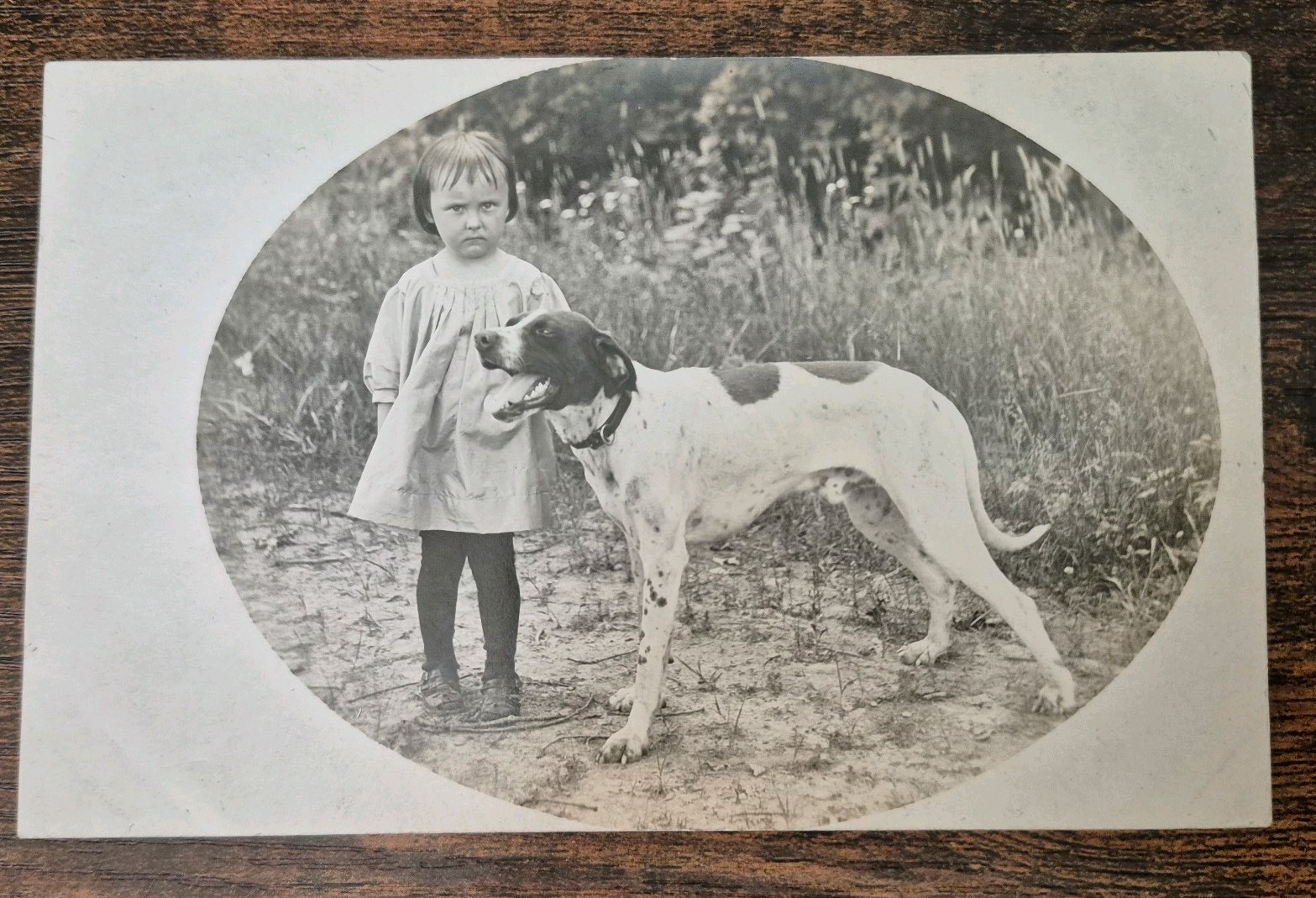 Antique RPPC Real Photo Postcard Child & Pointer Family Dog c1904-1918 AZO