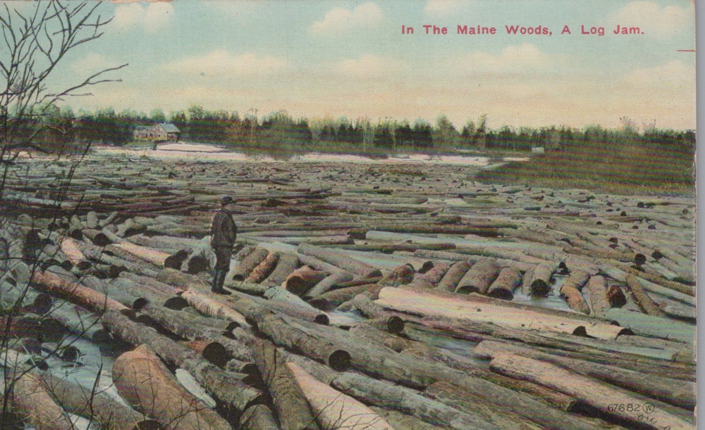 Maine Woods Log Jam Logger River Drive Antique 1910s - Photo Postcard
