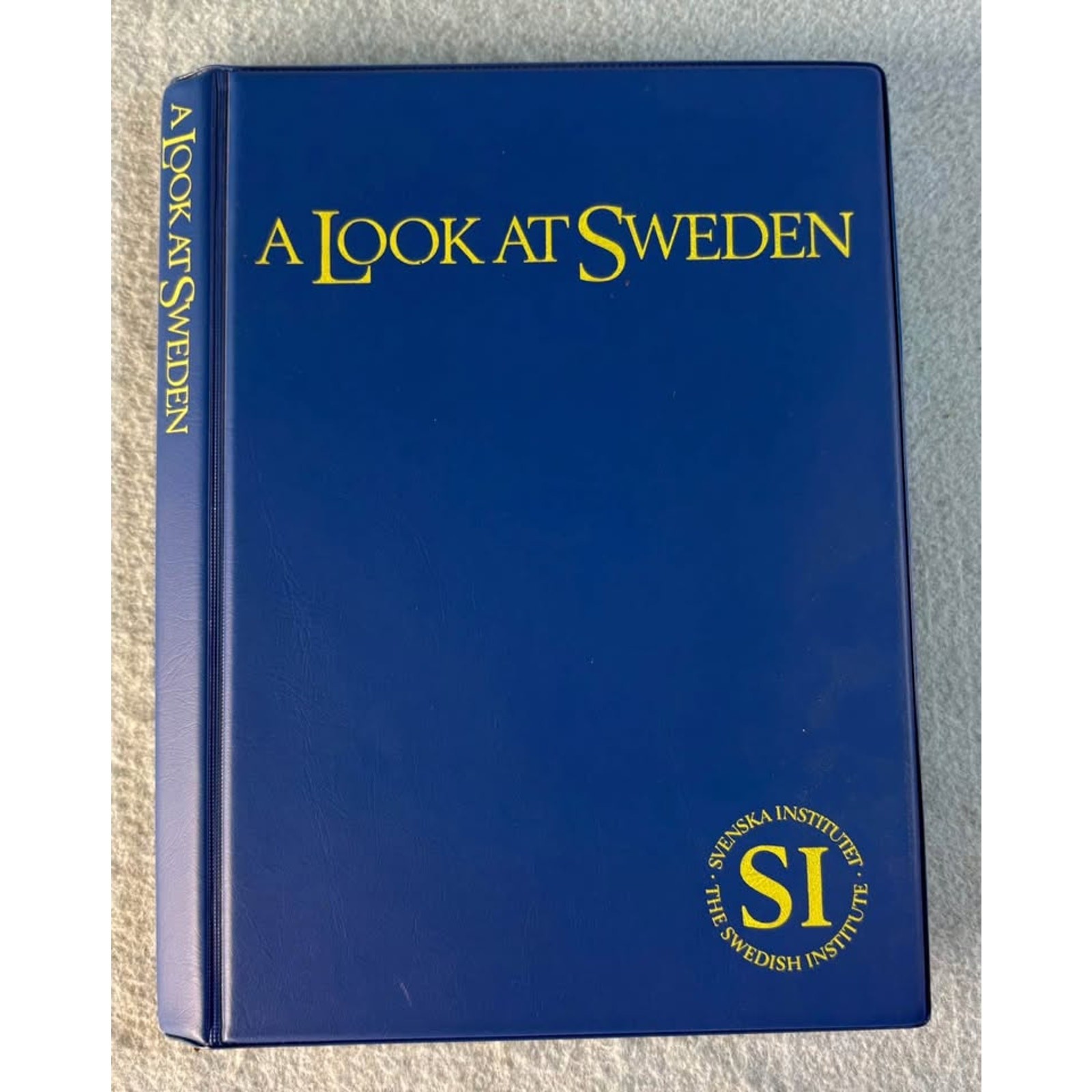 Vintage 35mm Slides Swedish Institute Scenes Buildings People