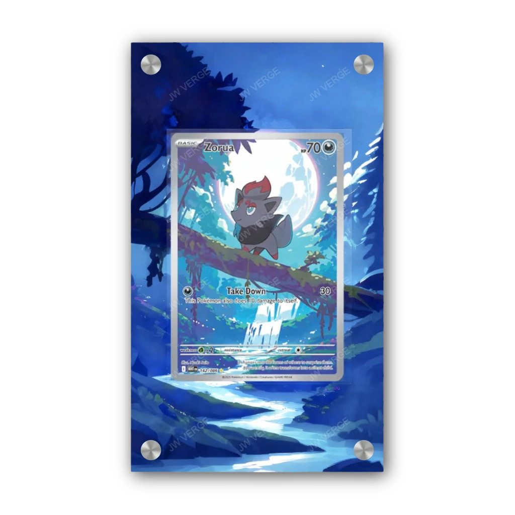 Zorua 142/086 - Exclusive Pokémon Extended Artwork Display Case
