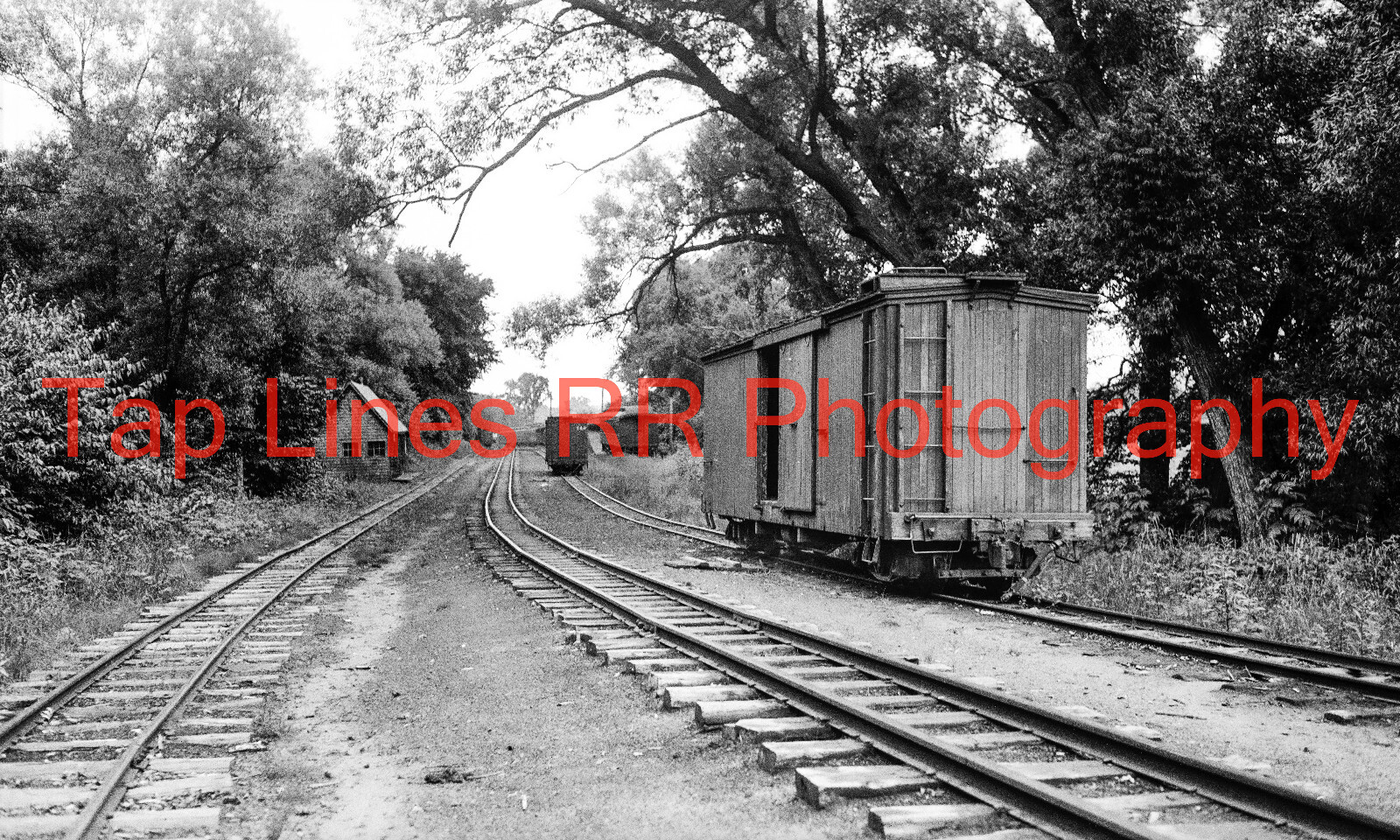 Sandy River & Rangeley Lakes Railroad Scene Strong ME 7-1935 New 5x8 Photo