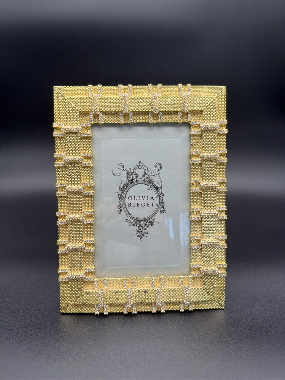Olivia Riegel Gold Crystal Jeweled Picture Frame 8.5” x 6” Luxury Glam Decor