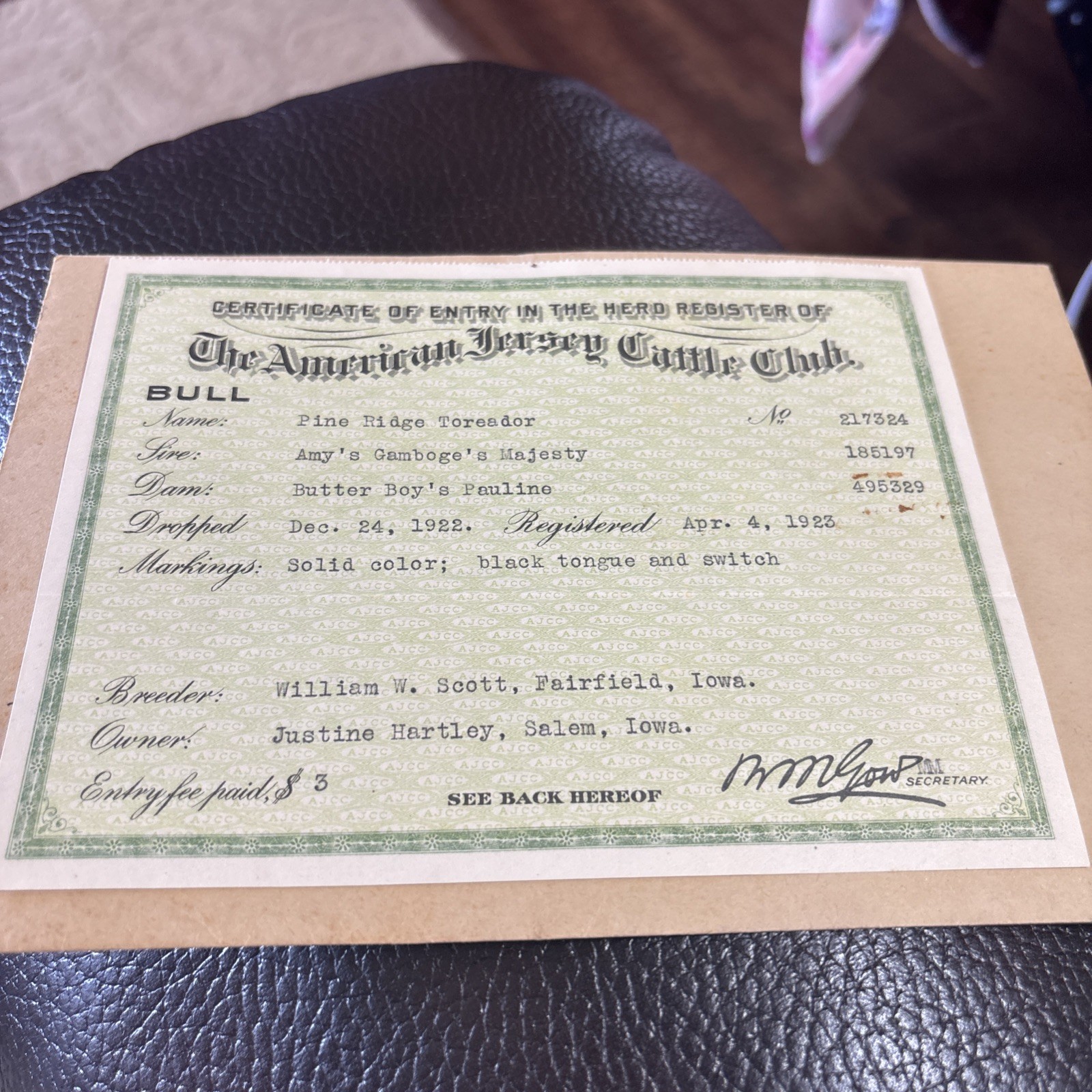 1923 THE AMERICAN JERSEY CATTLE CLUB-COW PEDIGREE RareCERTIFICATE  W/Env.Toread