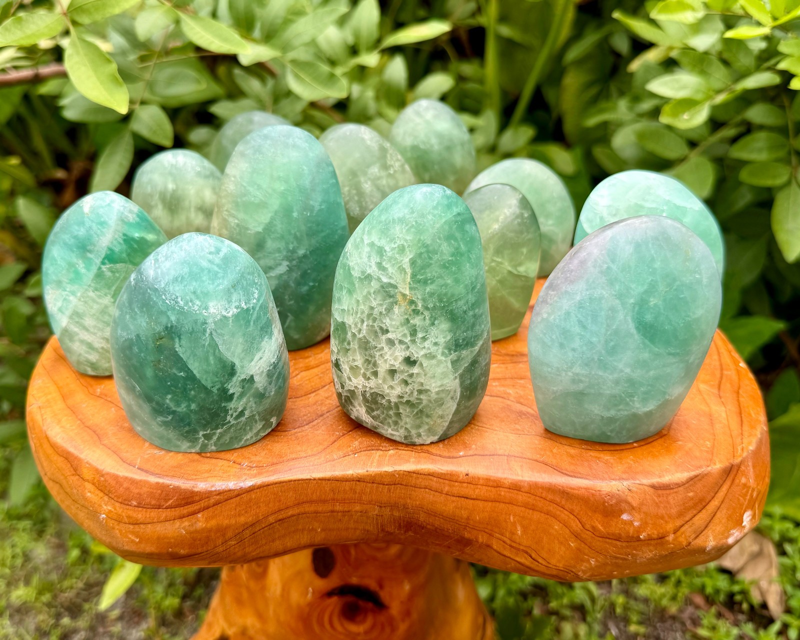Green Fluorite Free Form - Polished Fluorite Crystal Specimens - Choose Size