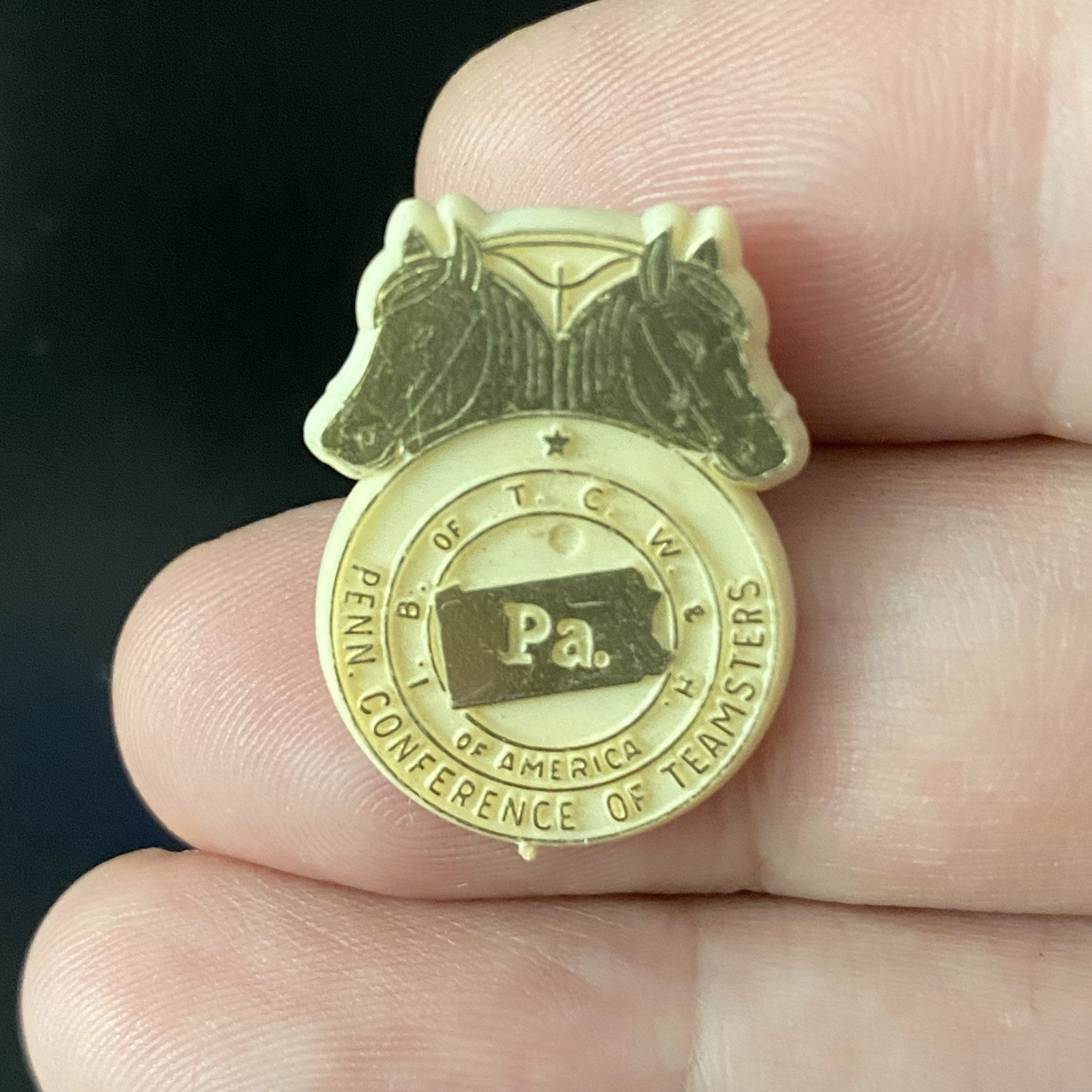 VTG IB of TCW Conference of Teamsters PA Plastic Hat Lapel Pin