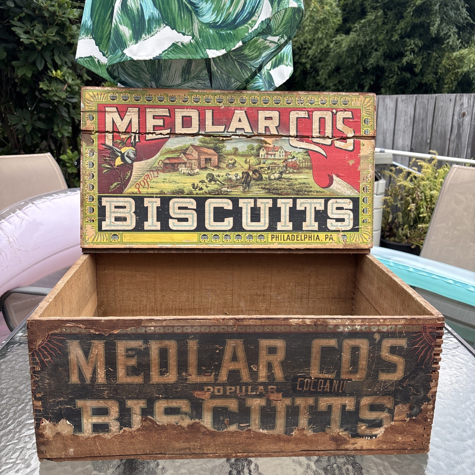 SCARCE MEDLAR CO. SODA BISCUITS PAPER LABELED BISCUIT BOX Philadelphia 