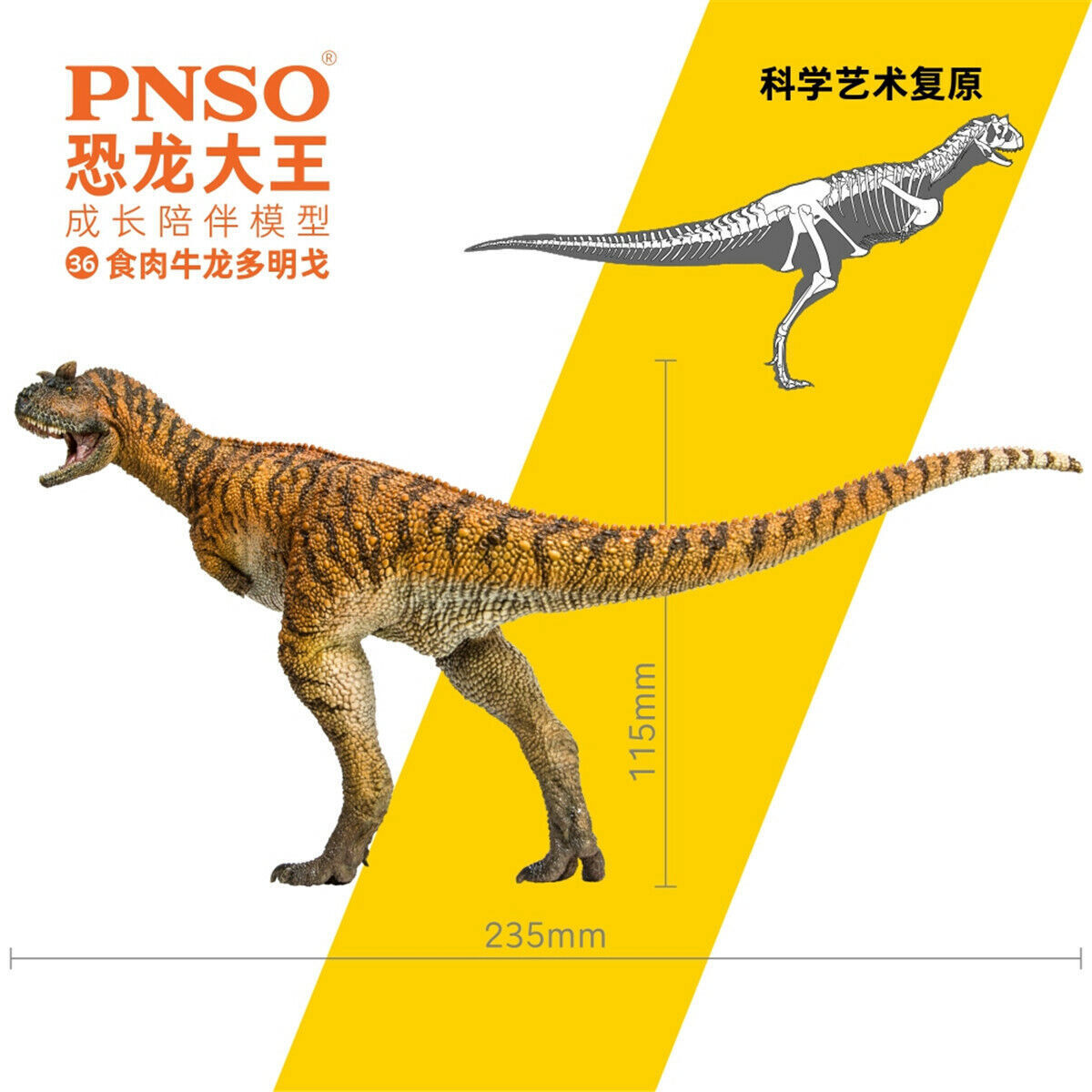 PNSO Carnotaurus Domingo  Ceratosauria Dinosaur Model Animal Collection Decor