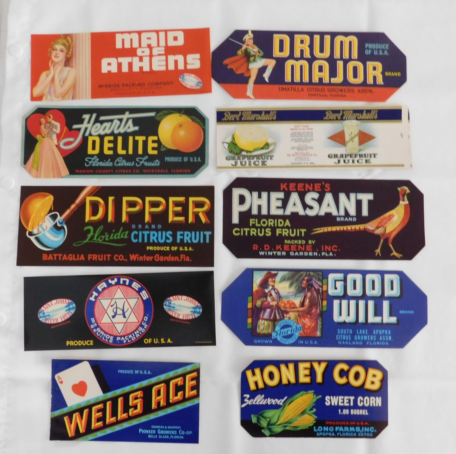 50  Different  Vintage Florida  Crate Labels