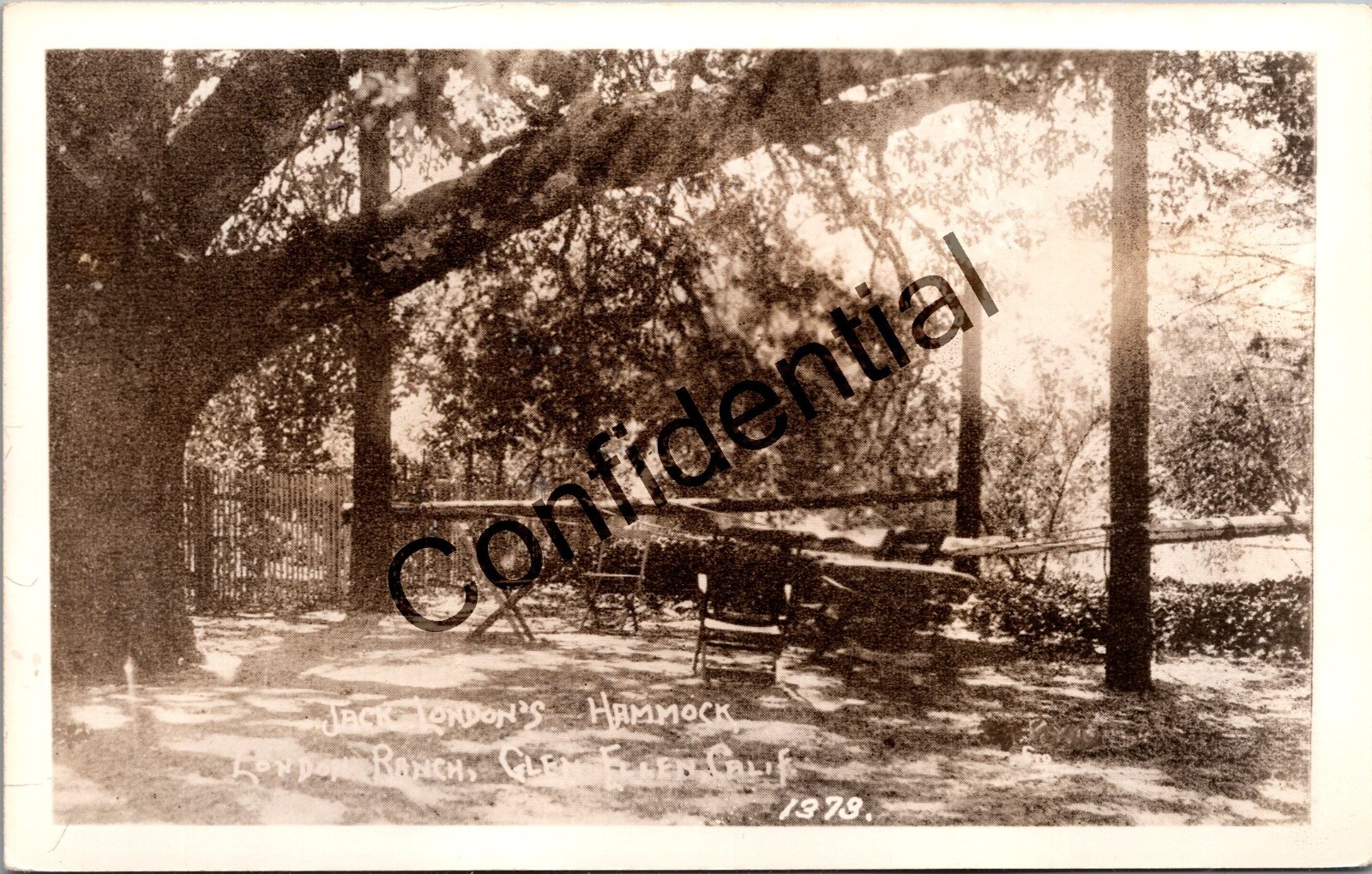 Real Photo Jack London\'s Hammock London Ranch Glen Ellen CA California RPPC N89