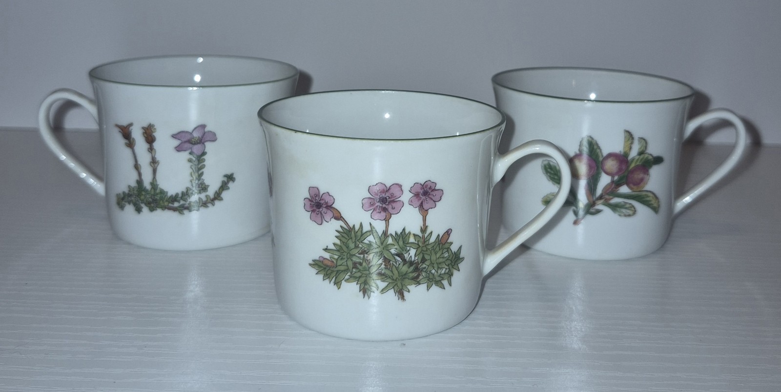 VTG Porsgrund Norway Mountain Flowers Espresso cups set of 3 pristine 