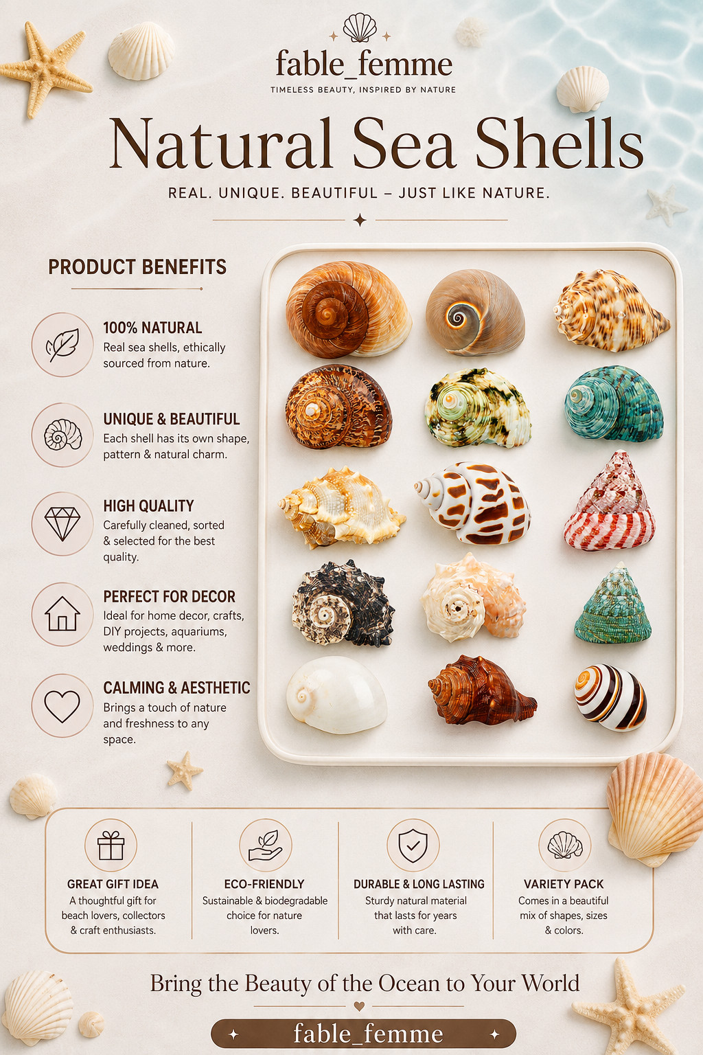 15PCS Hermit Crab Shells 1.6\
