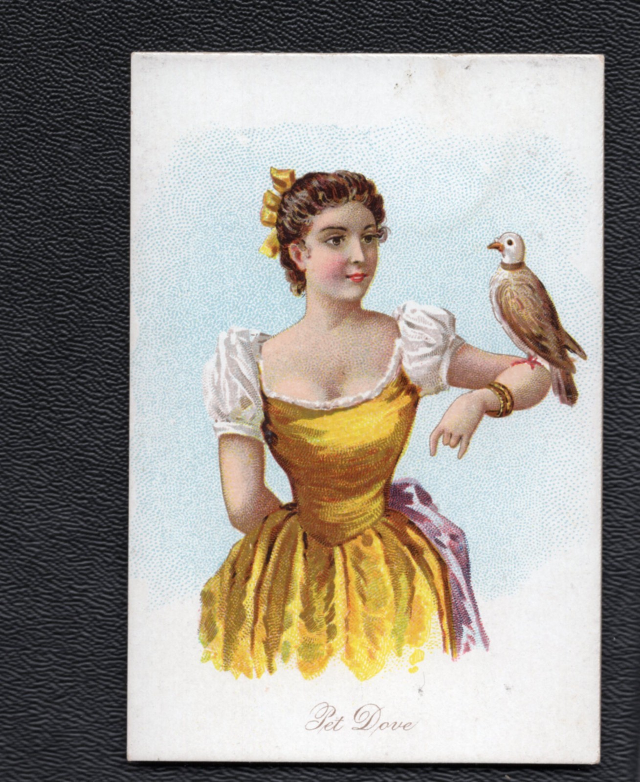 1891 N194 Wm S. Kimball & CO.  Household Pets Pet Dove  - 9