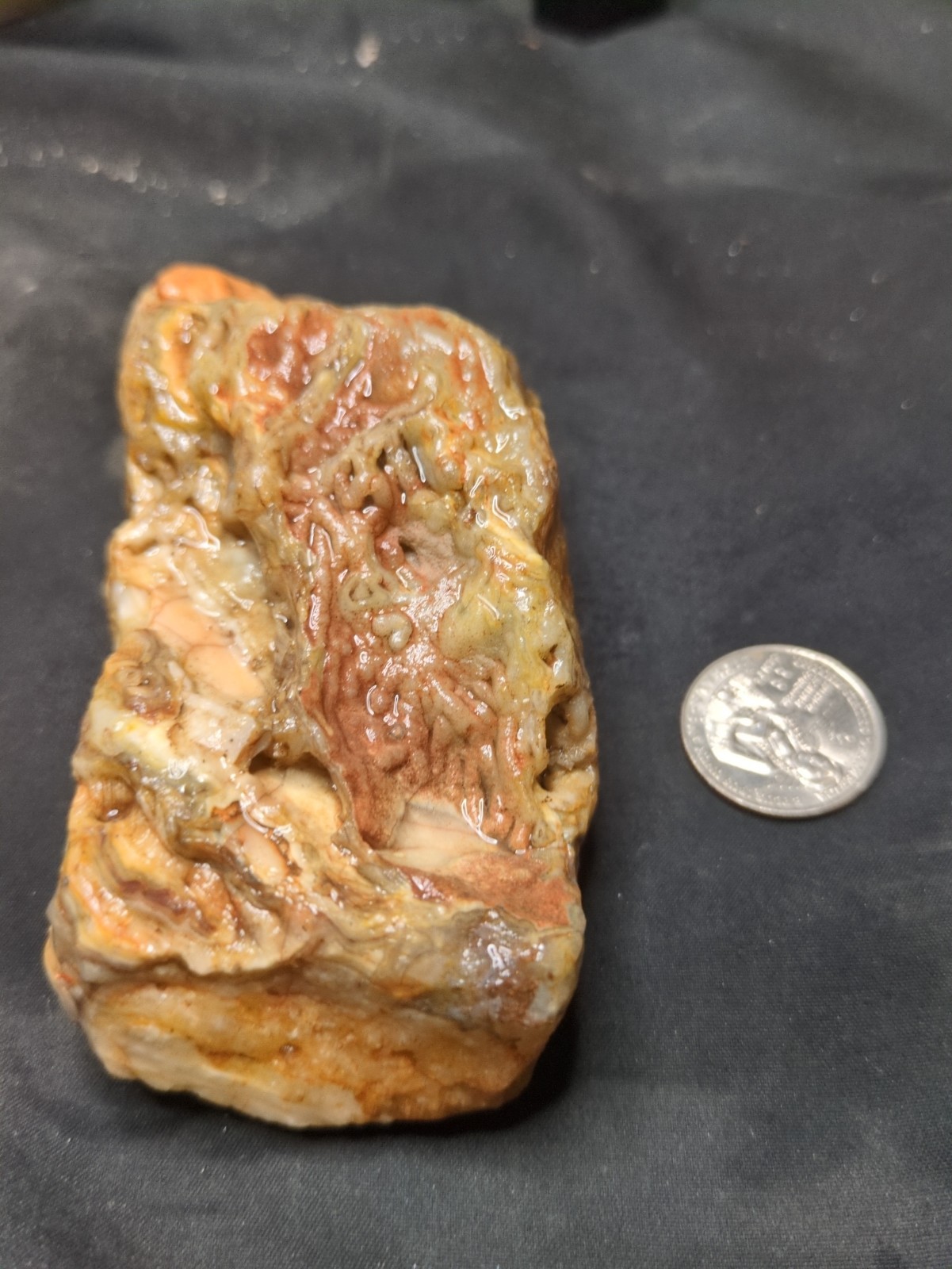 Crystalized Layered Specimen Natural Form (13.2oz) Crystalized Layered Specimen Natural Form (13.2oz)
