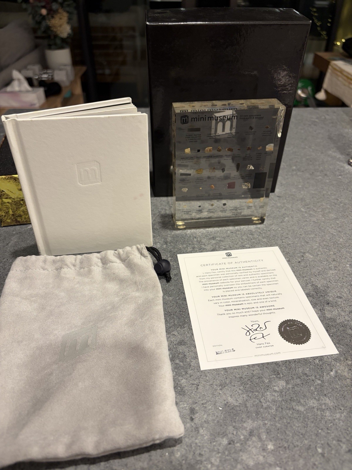 1st Edition Mini Museum. Includes backlit MM display case *See corner damage