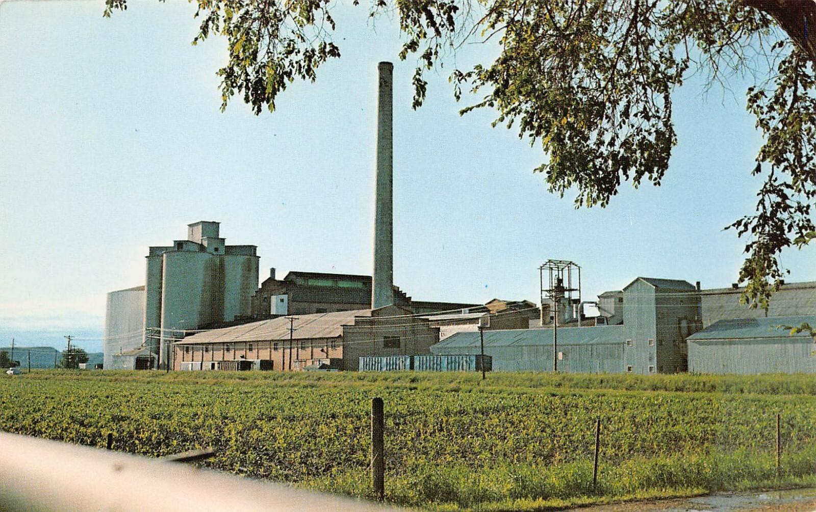 Sidney MT Montana Holly Sugar Factory Mill Refinery Plantation Vtg Postcard A41