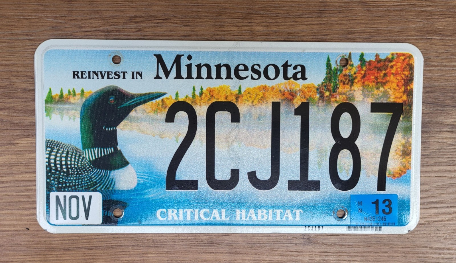 2013 Minnesota Critical Habitat LOON License Plate Tag  #2CJ187 **FREE Pick Up**