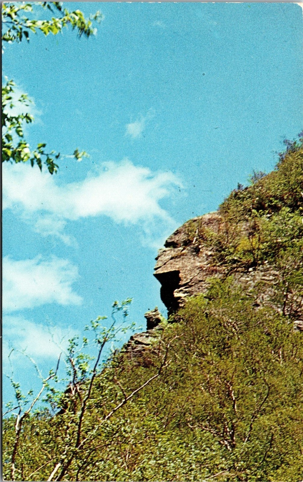 Smuggler\'s Notch VT Hunter and his Dog Postcard unused 1950s/60s