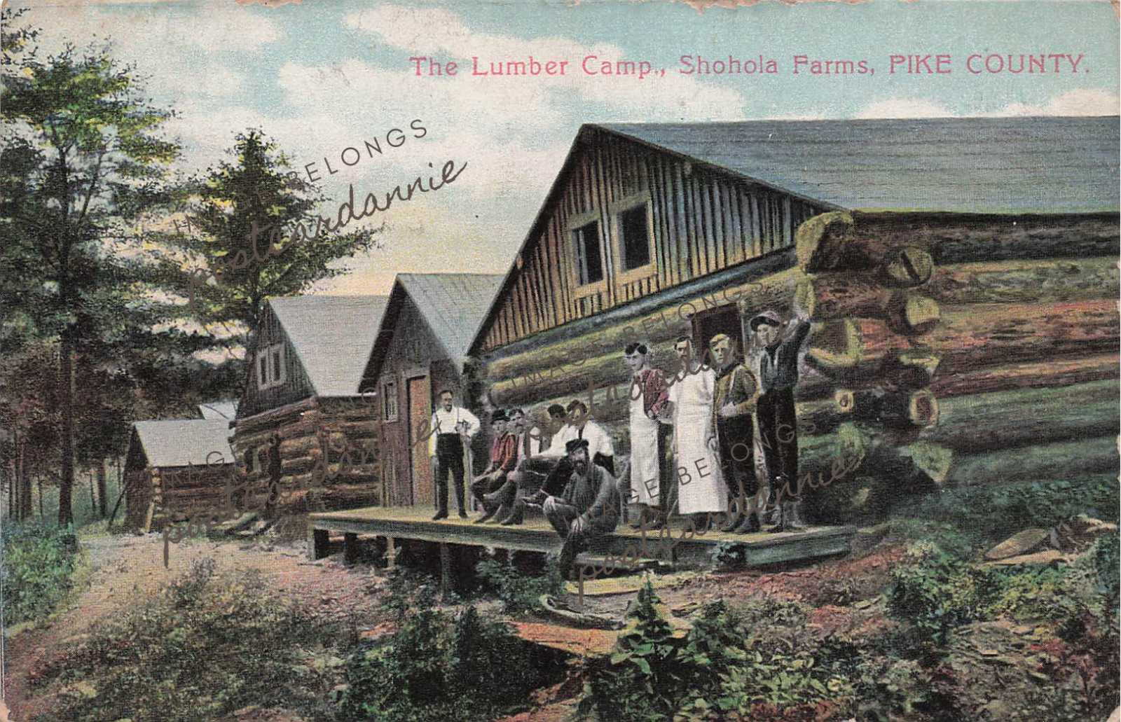 Shohola Camp Greeley Pike county PA Log Drive Logging Lumber Vtg Postcard F11
