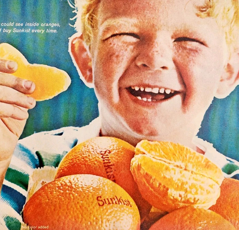 1965 Sunkist Navel Oranges Advertisement Fruits Food Vintage Advert DWII24