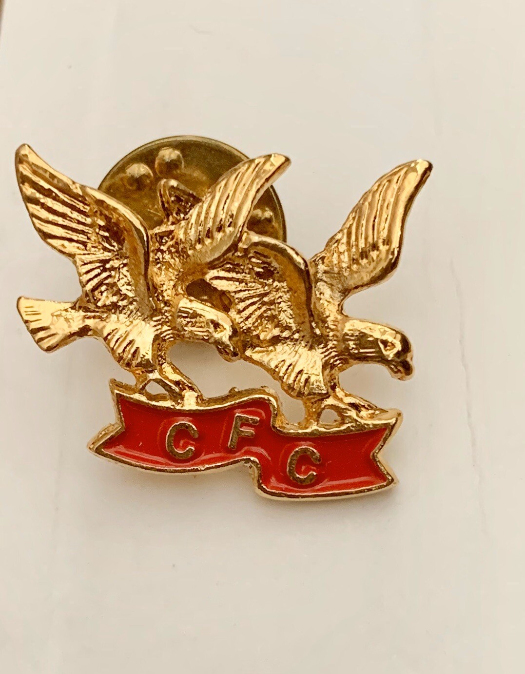 CFC Combined Federal Campaign Double Eagle Goldtone  & Enamel Pin