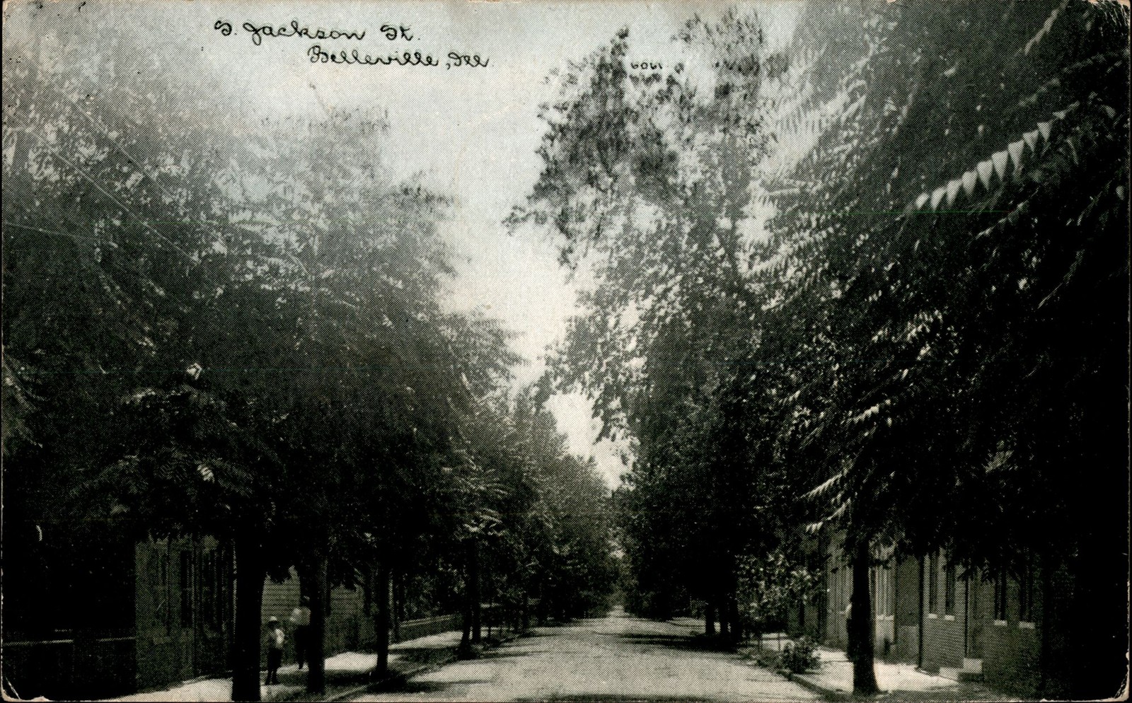 1911 S. Jackson St. Belleville Illinois IL Undivided Back Postcard Trees View