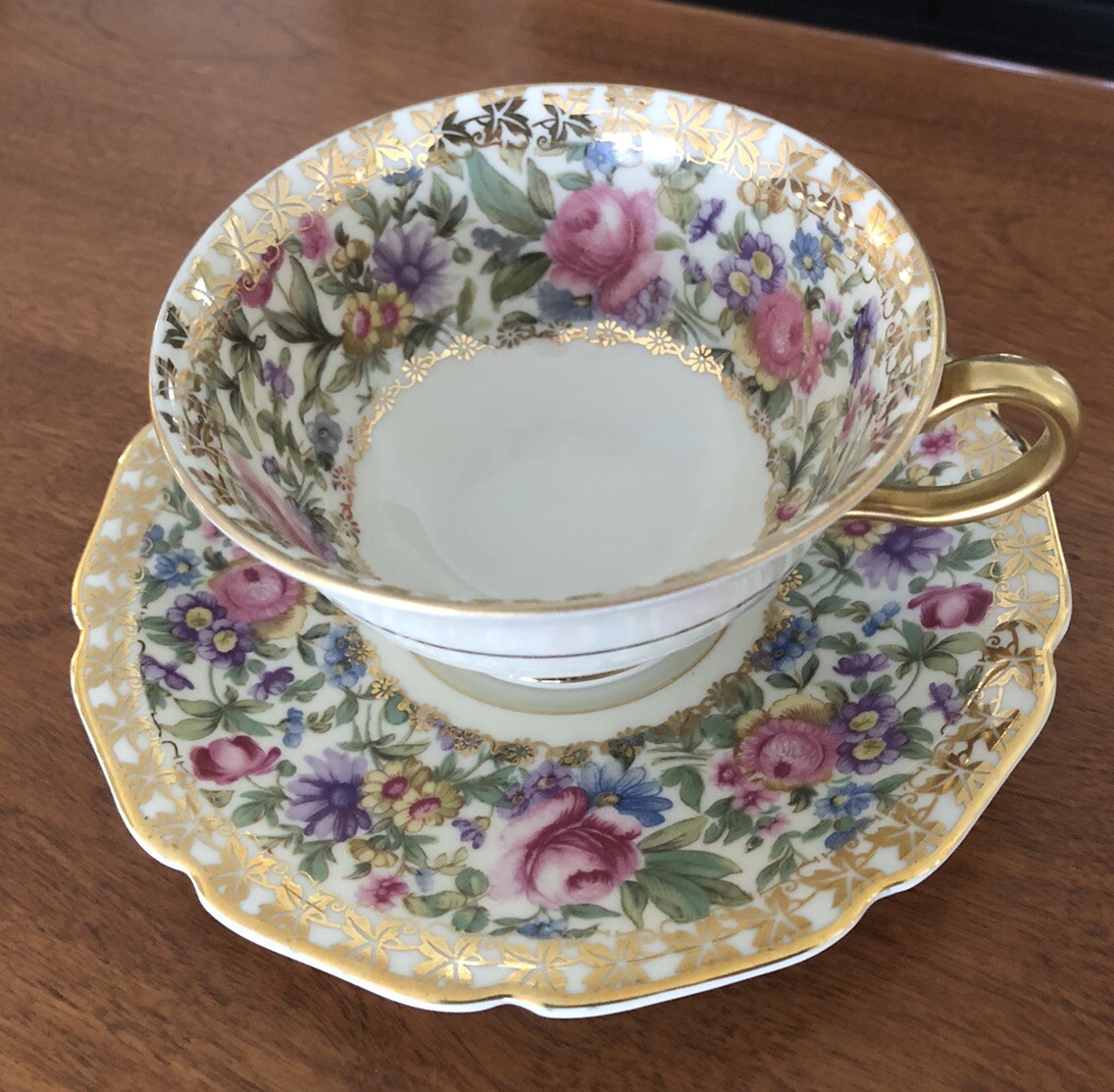 Rosenthal - Continental Garden Caprice Cup and Saucer Set