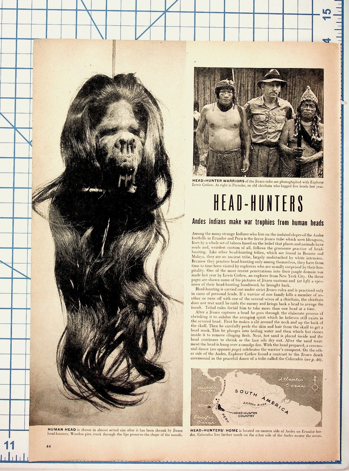 Vintage 1950s Jivaro Head-Hunters Ecuador Article Shrunken Head Photos