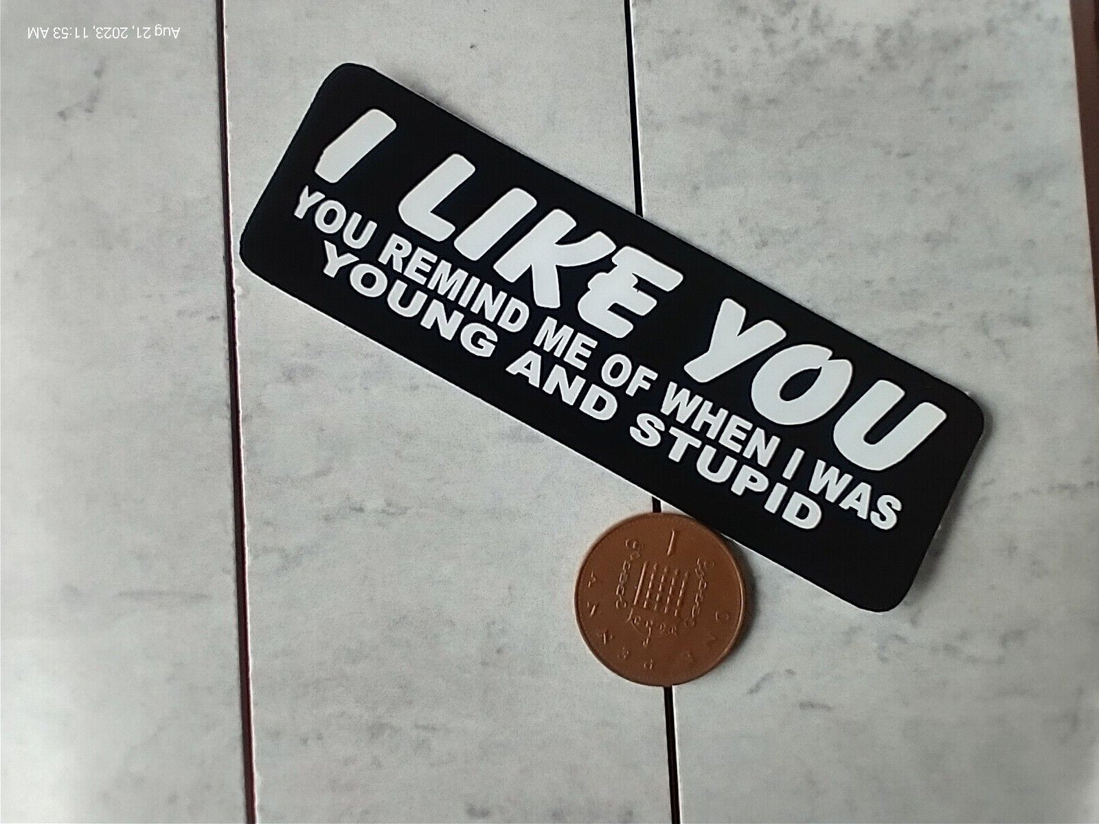 Small Hand made Decal Sticker I LIKE YOU REMIND ME WHEN I WAS DUMB & STUPID