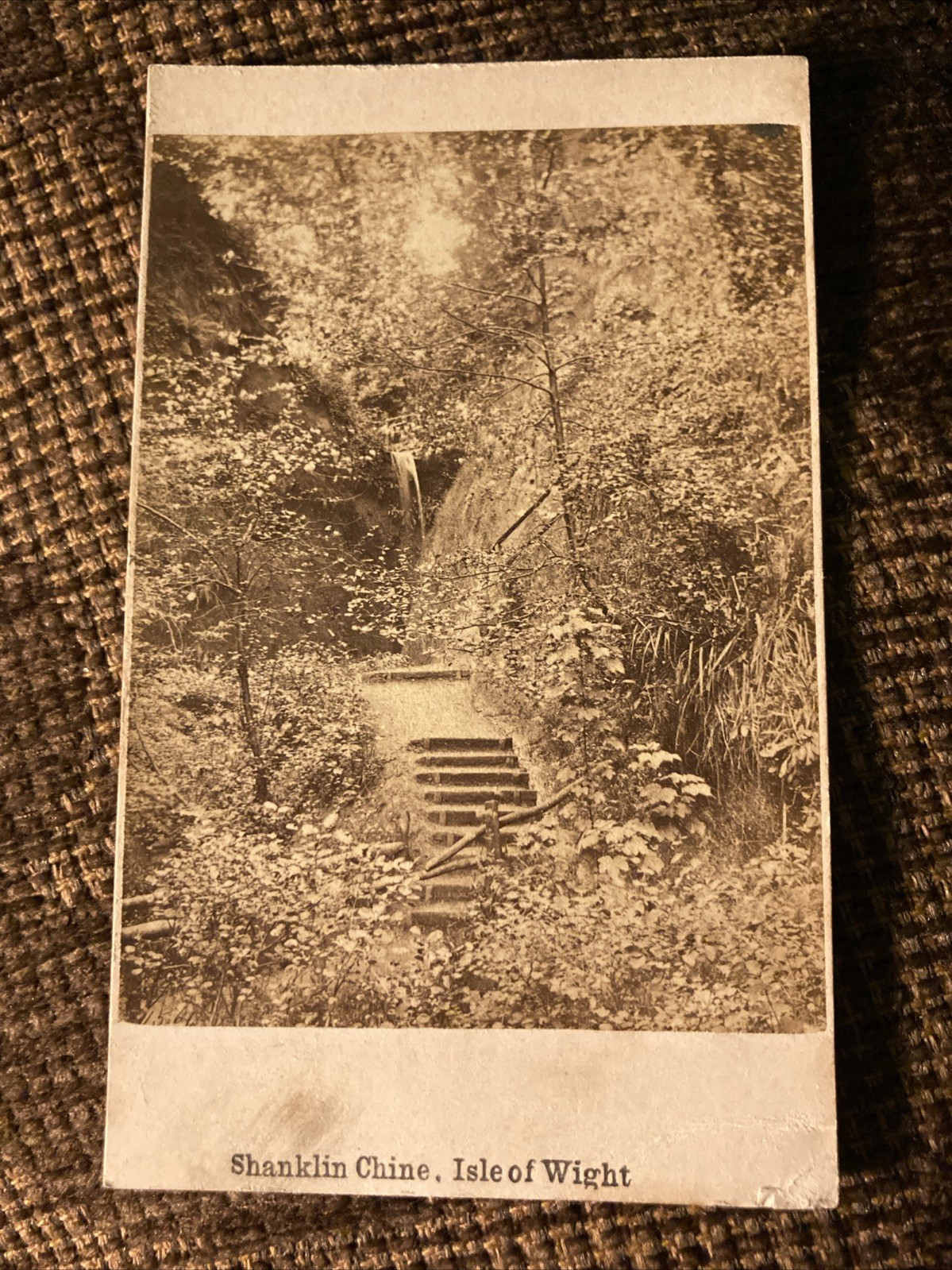 Victorian CDV Photo Shanklin Chine, Isle Of Wight