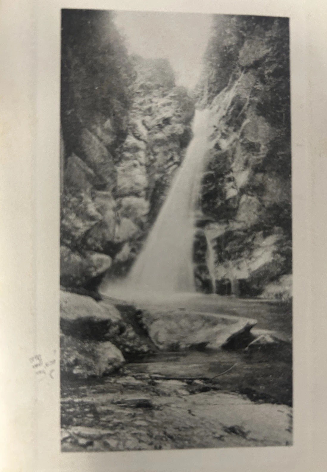 1911 Mill Creek Falls Sandwich MA Cape Cod Postcard Schlesinger Bros Posted