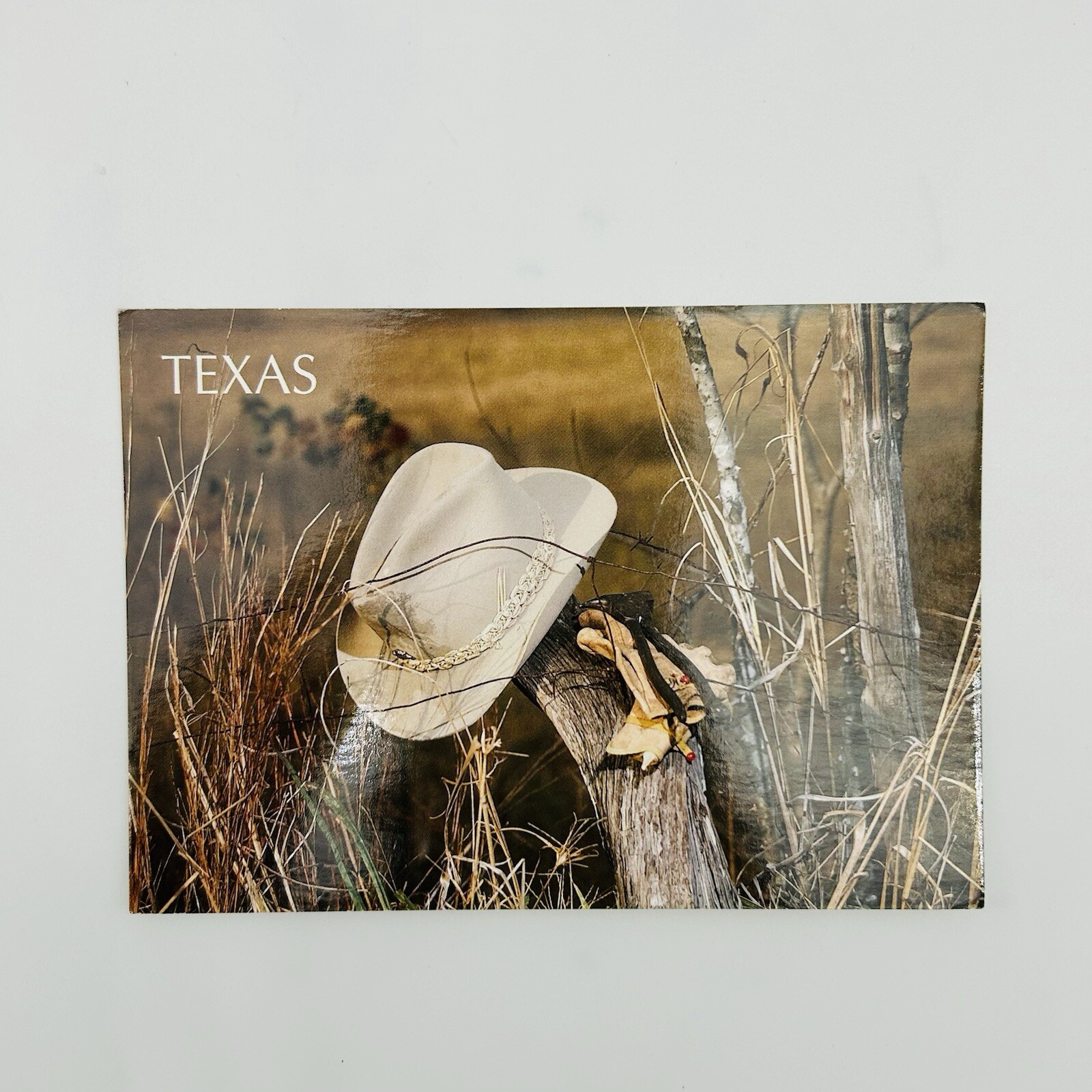 VINTAGE Texas Postcard Cowboy Wild West Country Americana USA Nature Gloves Hat