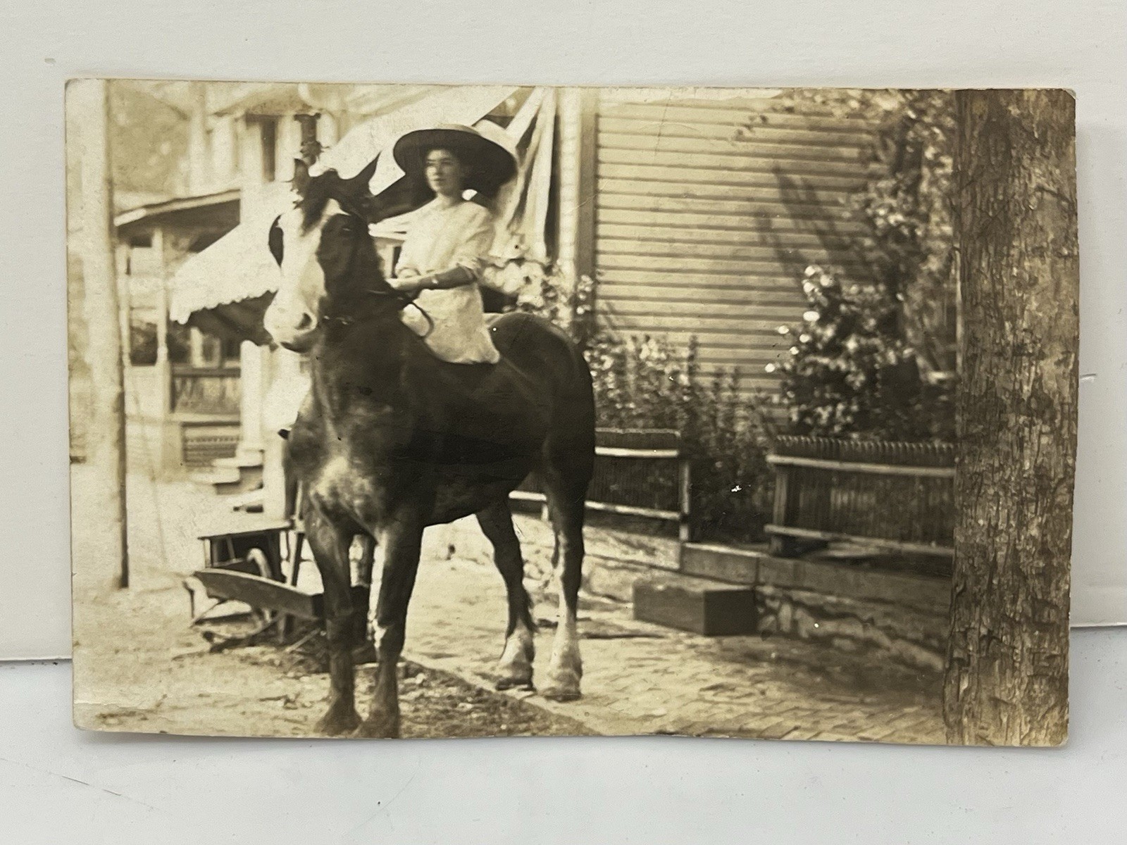 RPPC Woman with Hat Posing Riding Horse Real Photo Postcard