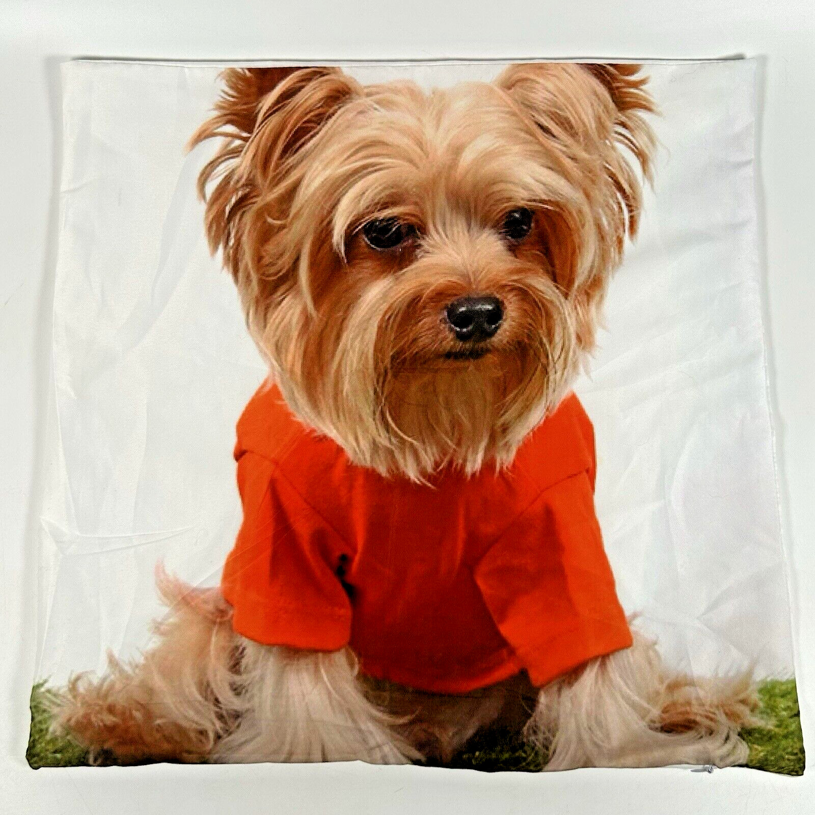 Yorkshire Terrier Orange Shirt Zippered Throw Pillow Case 17\