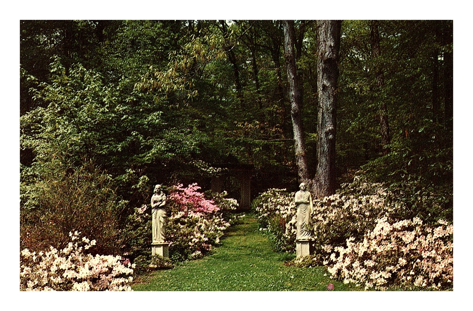 Postcard: WINTERTHUR GARDENS Henry Francis du Pont Winterthur
