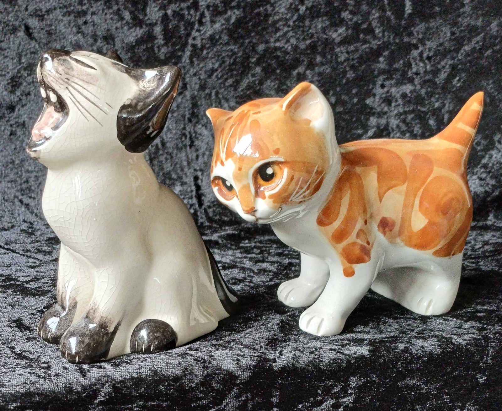 2 X SENESHALL STUDIO SIX KITTENS, GINGER / WHITE AND SLEEPY SIAMESE.