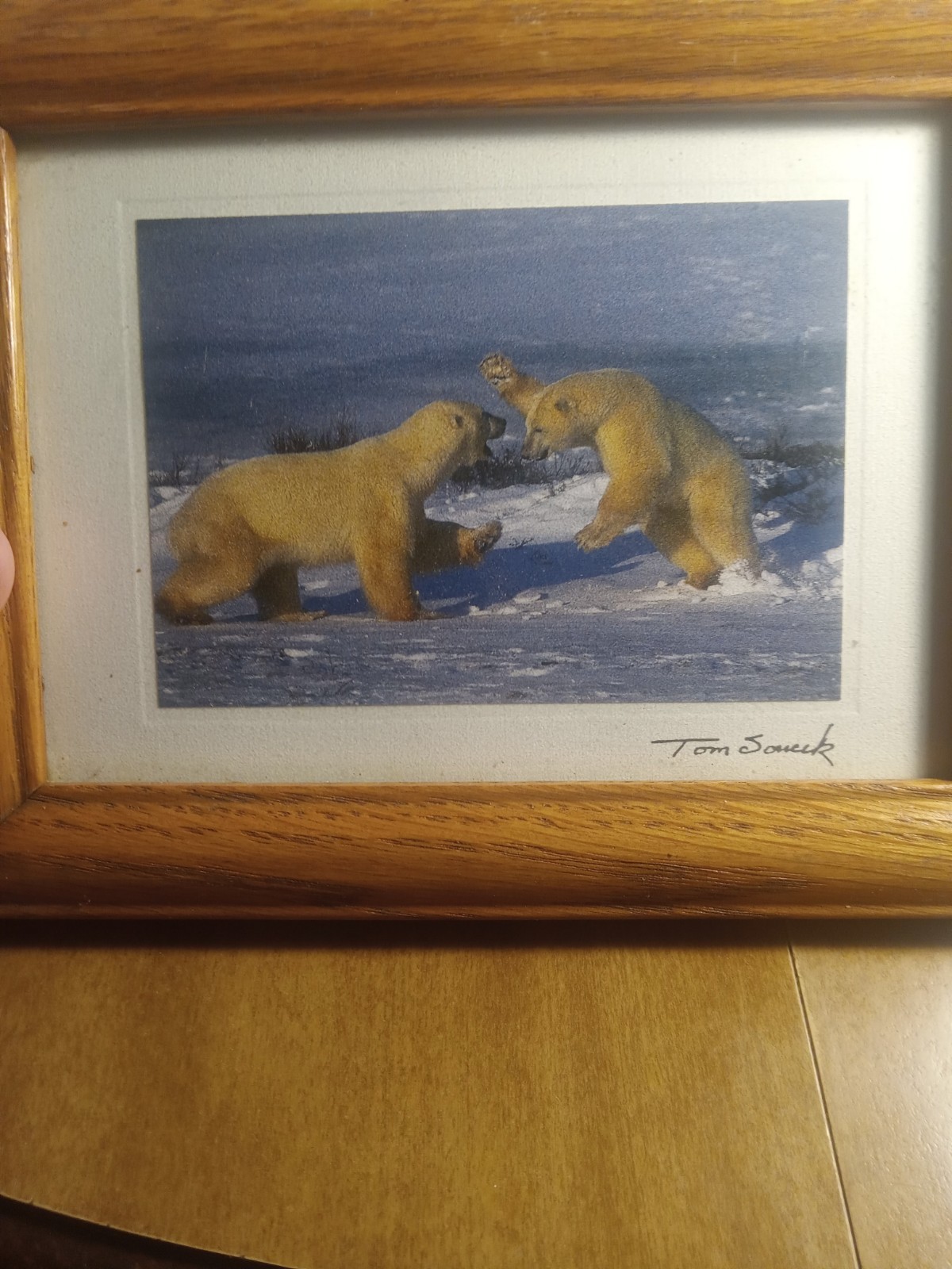 Tom Soucek Print Picture Polar Bears Fighting 8 1/2 Tom Soucek Print Picture Polar Bears Fighting 8 1/2